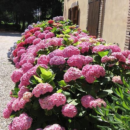 Montecorneo Country House Ponte San Giovanni Ngoại thất bức ảnh
